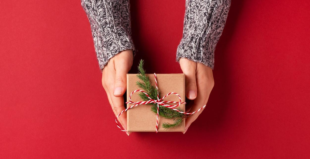 Hands Holding a Holiday Gift